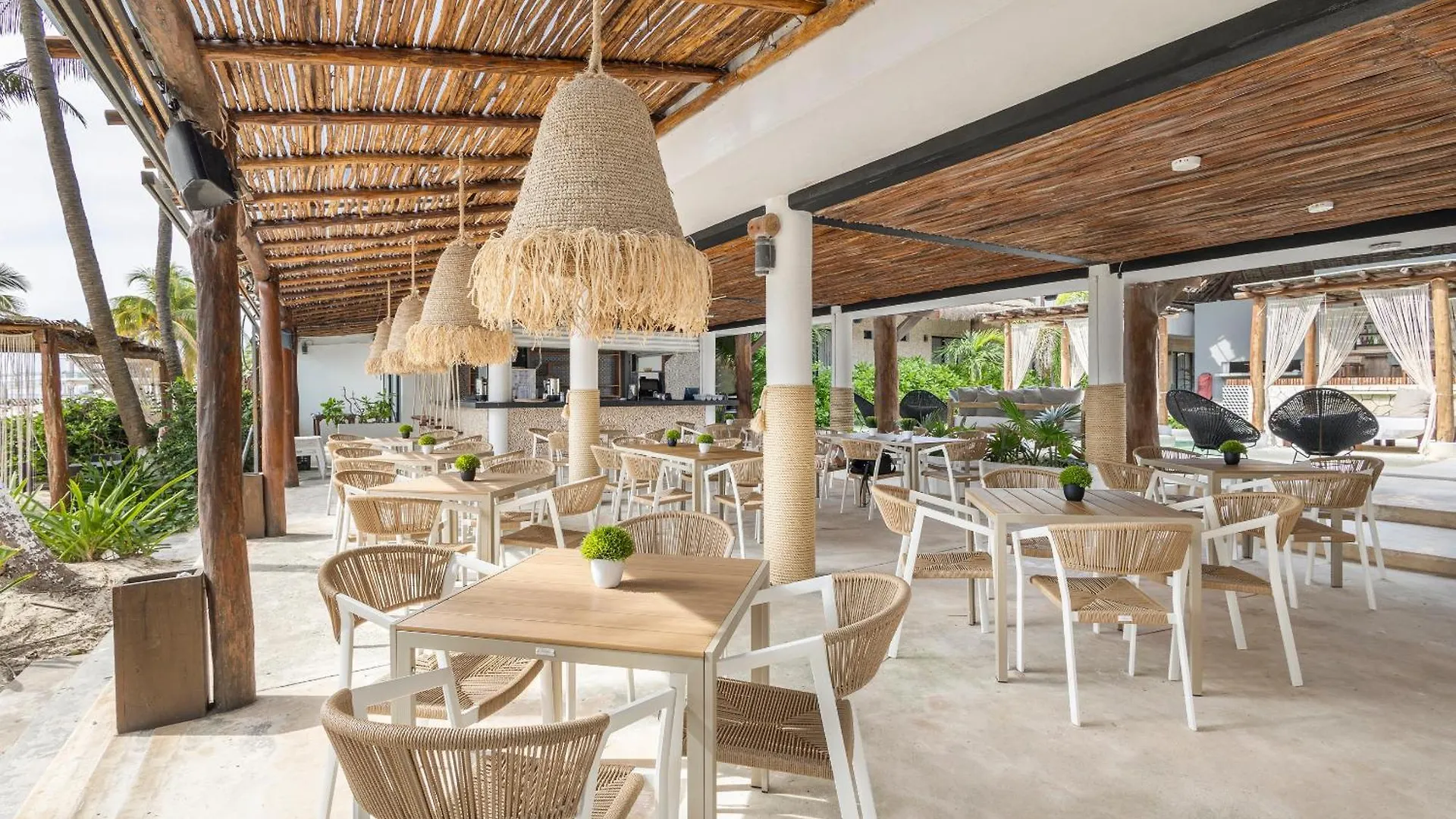Areia Playa Del Carmen - Beach Front Hotel Boutique Mexico