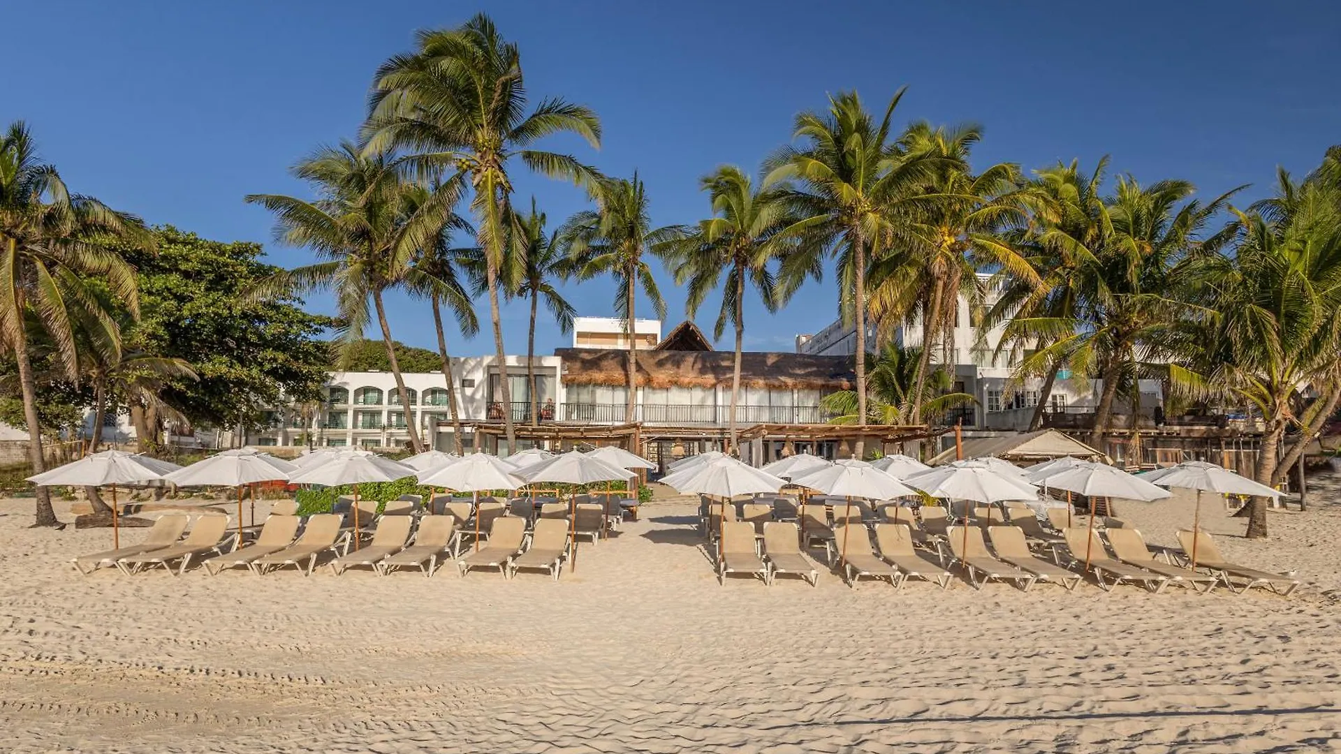 Areia Playa Del Carmen - Beach Front Hotel Boutique