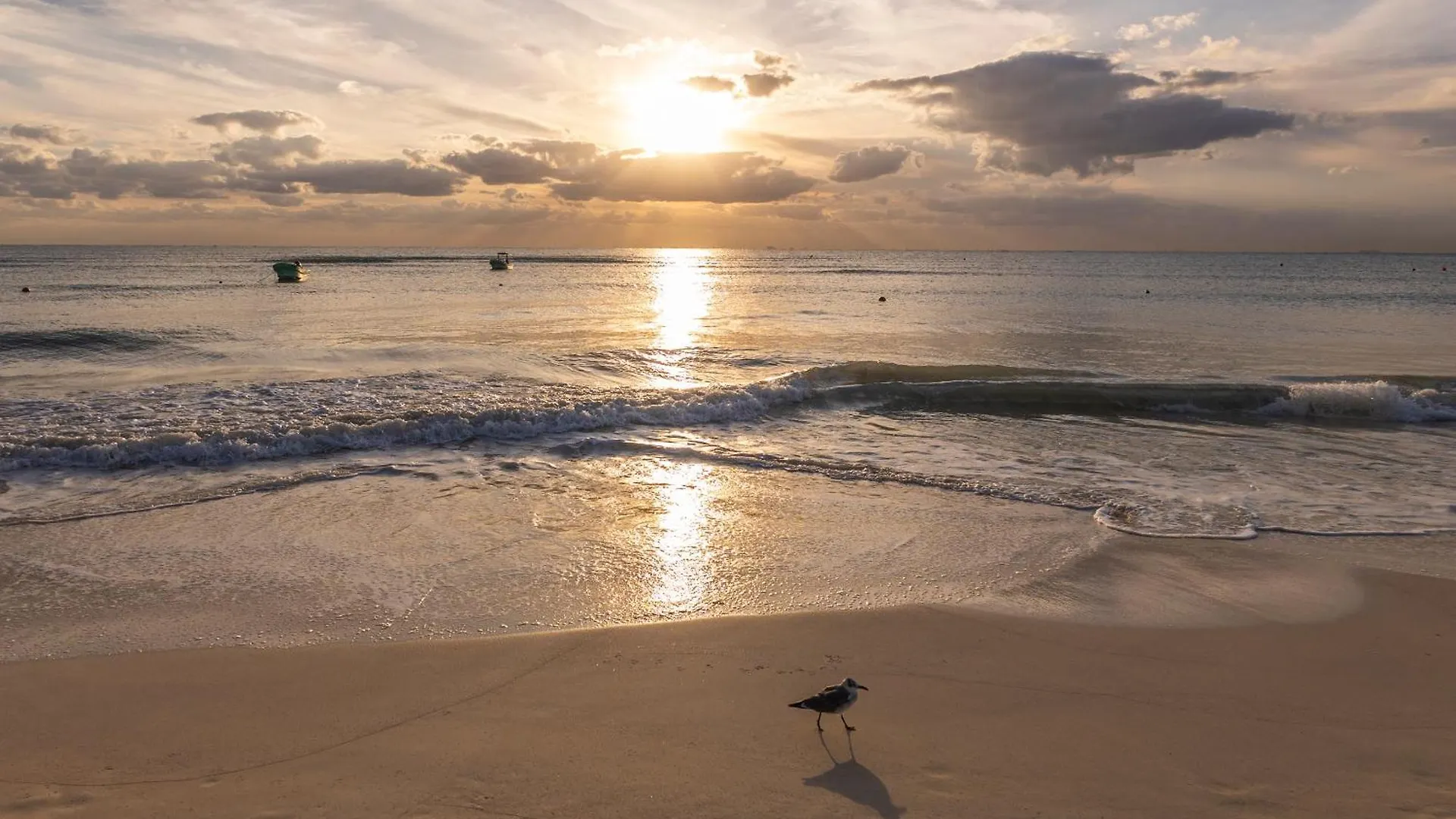 Areia Playa Del Carmen - Beach Front Hotel Boutique 4*,