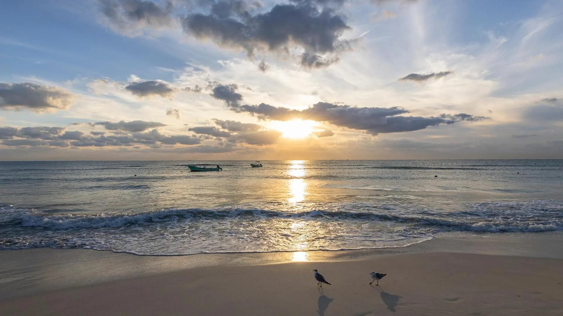 Areia Playa Del Carmen - Beach Front Hotel Boutique