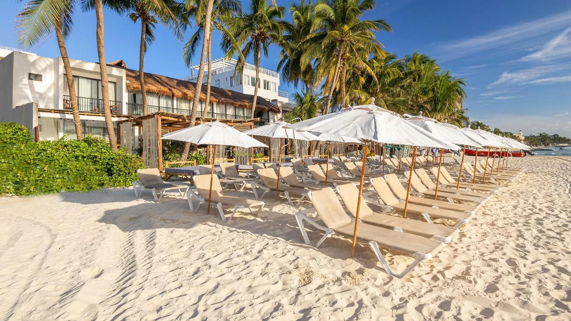 Areia Playa Del Carmen - Beach Front Hotel Boutique location