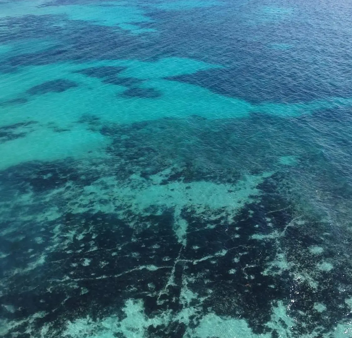 Areia Playa Del Carmen - Beach Front Hotel Boutique